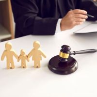 Custody Evaluation Custody Evaluation